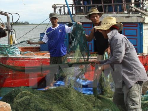 Ngăn chặn tình trạng trộm cắp ngư lưới cụ trên biển ảnh 1